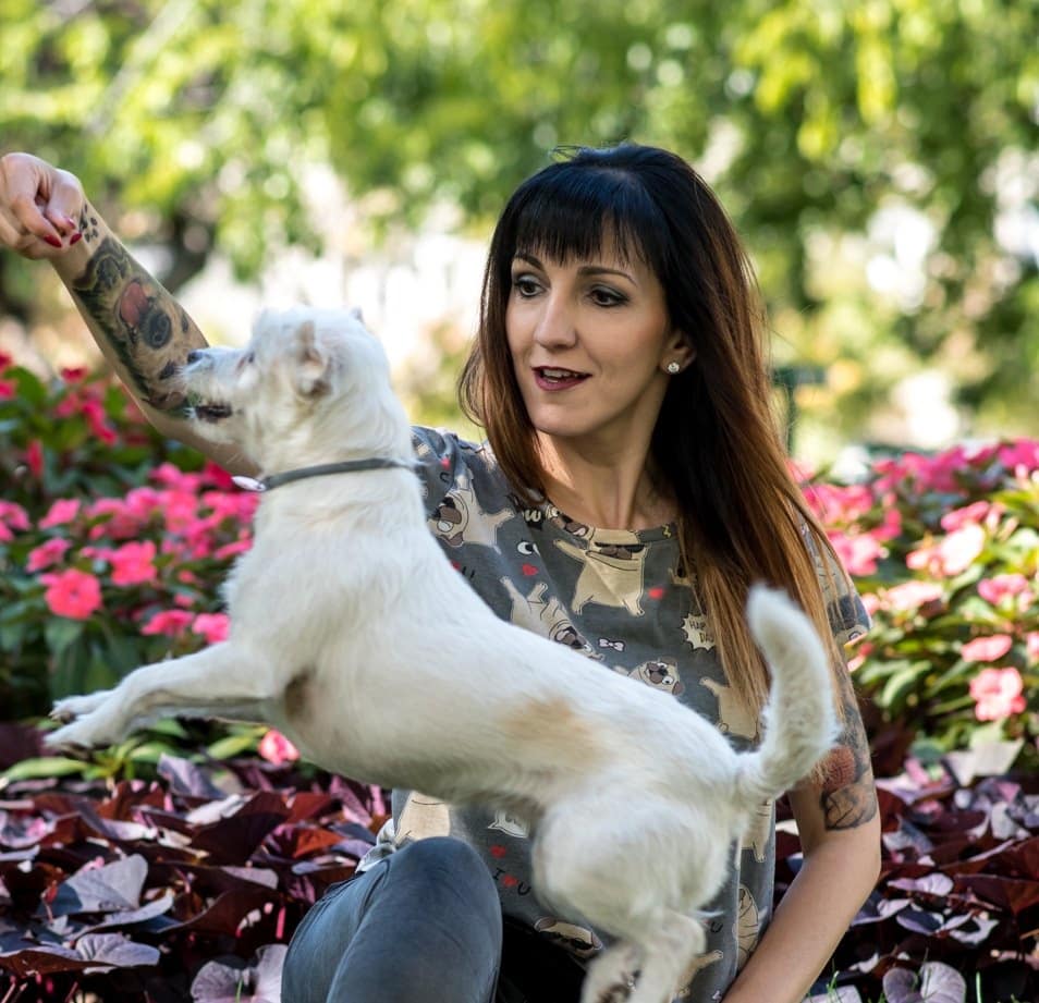 Panyi Zita